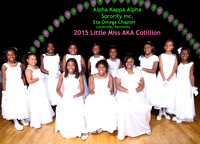 2015 Little Miss AKA Cotillion